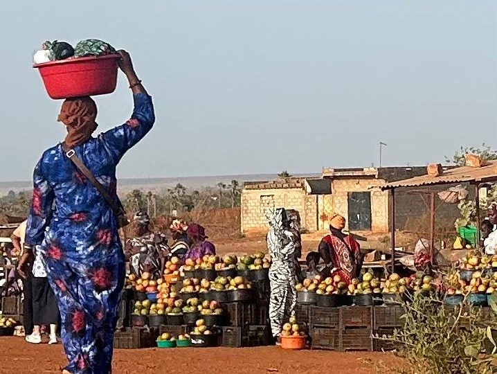 Élevage Afrique subsaharienne développement international ARI agribusiness — Livestock sub-Saharan Africa international development ARI agribusiness
